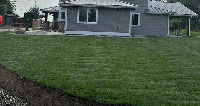 new-lawn-installation